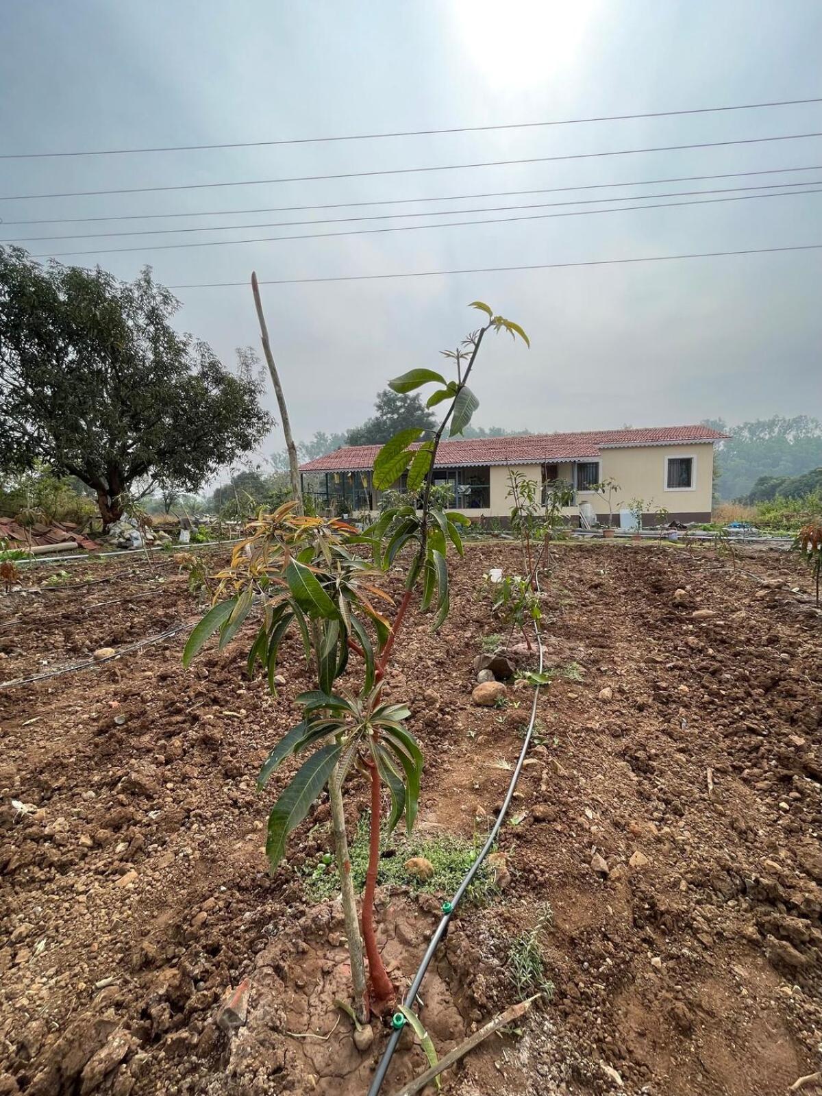 Aj Farms Villa Welhe Buitenkant foto